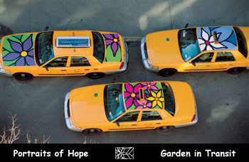 Photo from above of floral designs on taxi roofs